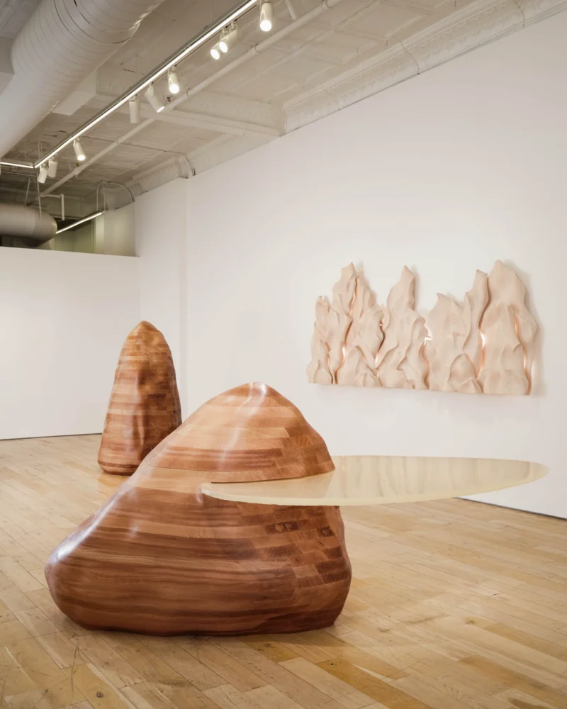 Installation shot from EGEVÆRK: Forms of Belonging, @ HB381