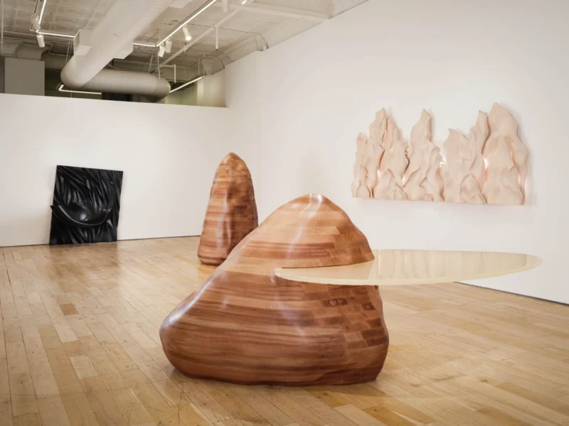 Installation shot from EGEVÆRK: Forms of Belonging, @ HB381