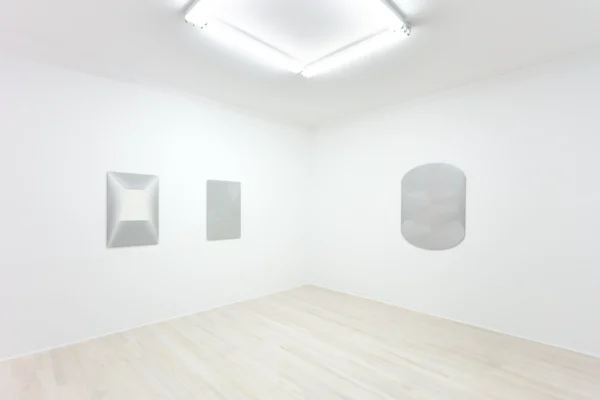 Michael DeLucia: Acid Bath @Halsey McKay Gallery, New York  - GalleriesNow.net 