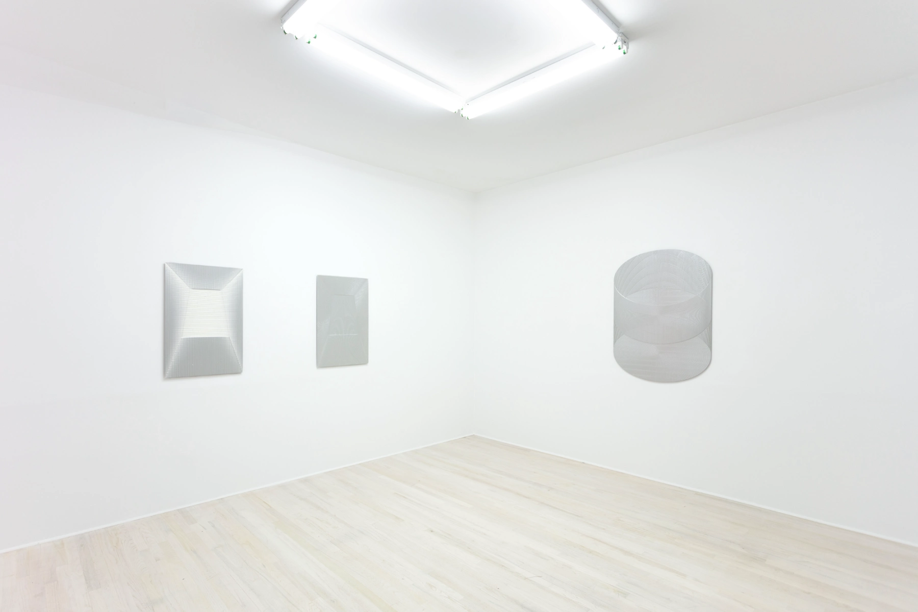 Image for Michael DeLucia: Acid Bath, at Halsey McKay Gallery