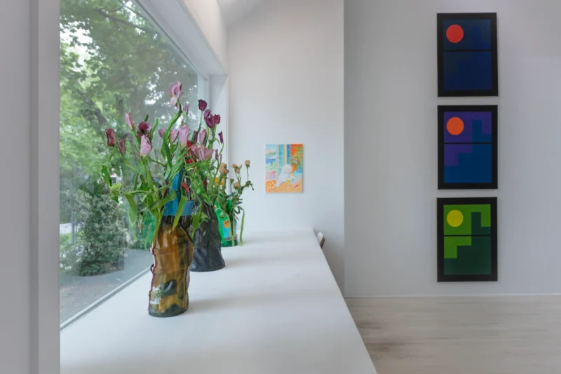 Installation shot from Windows, @ Halsey McKay Gallery