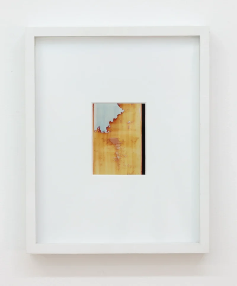 Bryan Graf, Backyard (Sunset in the Valley of Pines), 2026