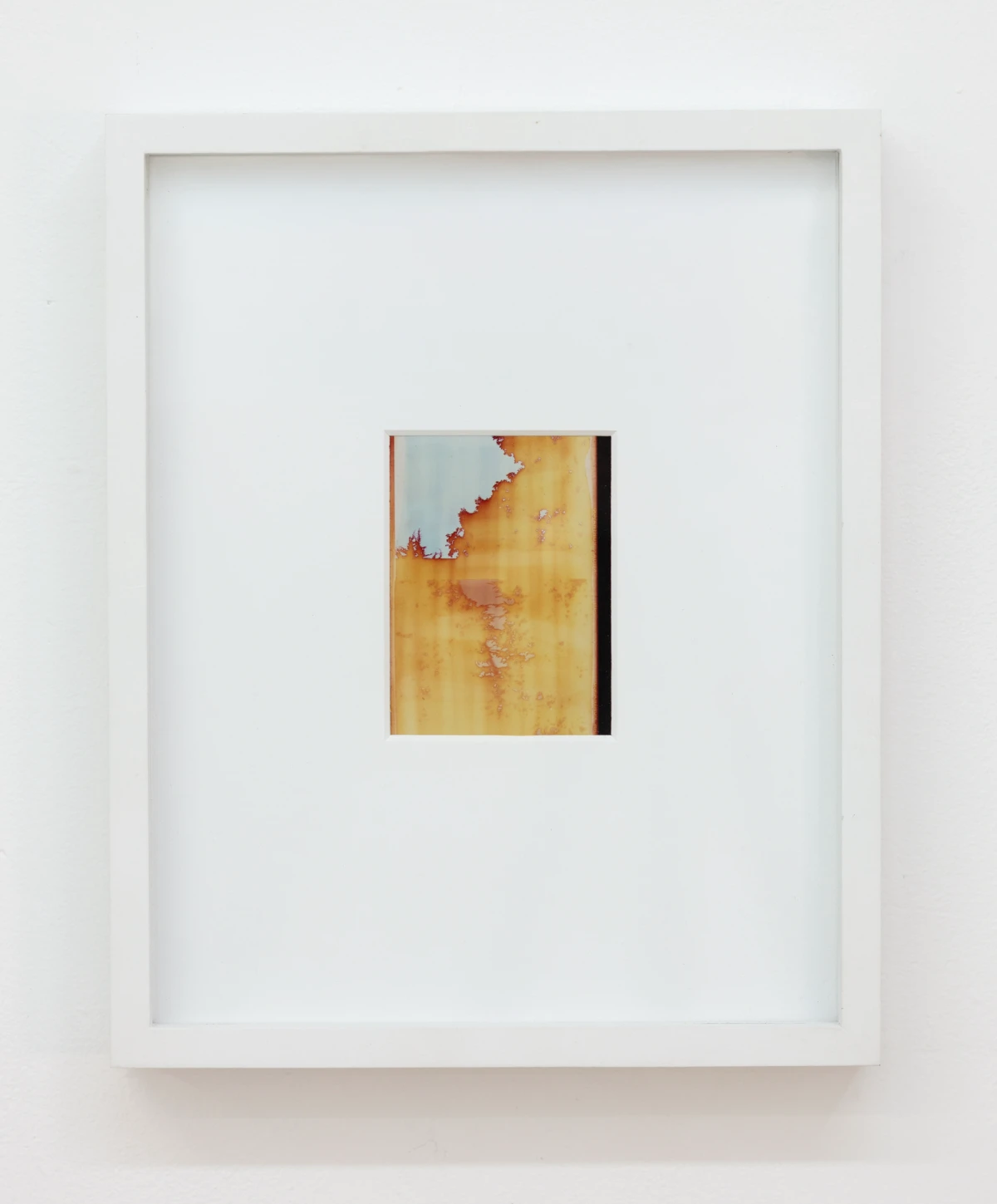 Bryan Graf, Backyard (Sunset in the Valley of Pines), 2026