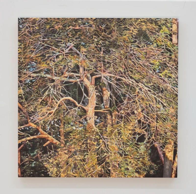 Oidie Kuijpers, untitled (2026.2), 2026