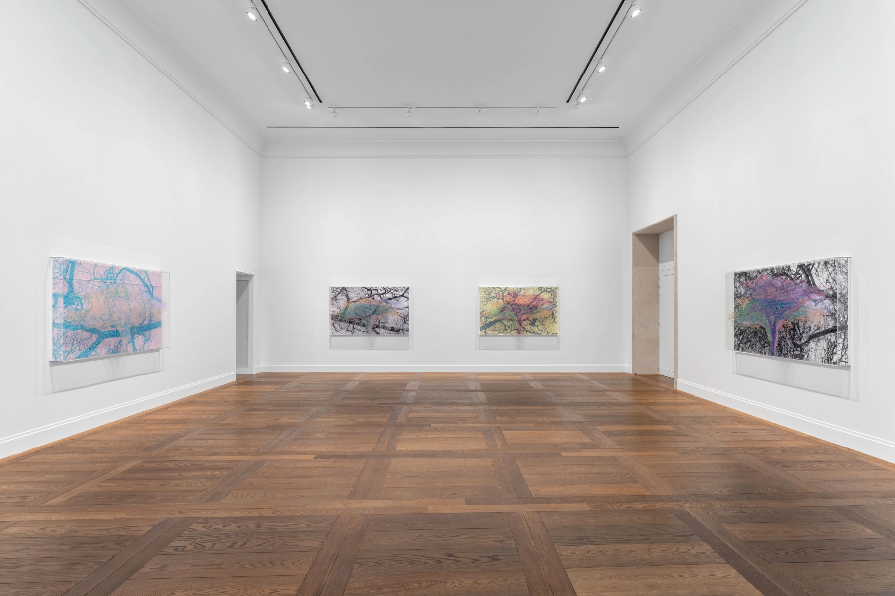 Image for Charles Gaines. Ciphering African Acacias and Supreme Court Decisions, at Hauser & Wirth