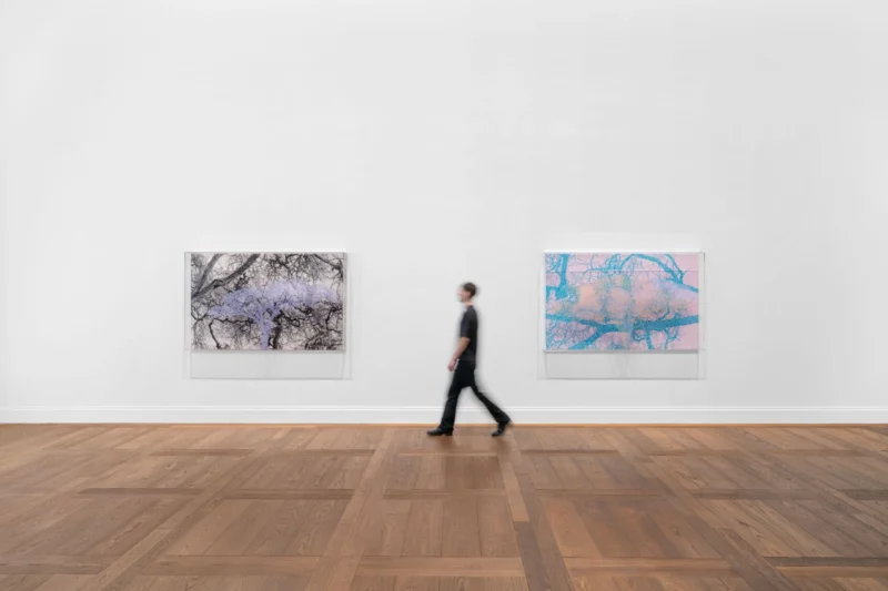 Installation shot from Charles Gaines. Ciphering African Acacias and Supreme Court Decisions, @ Hauser & Wirth