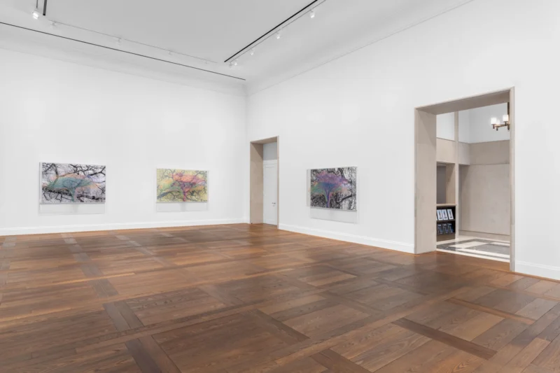 Installation shot from Charles Gaines. Ciphering African Acacias and Supreme Court Decisions, @ Hauser & Wirth