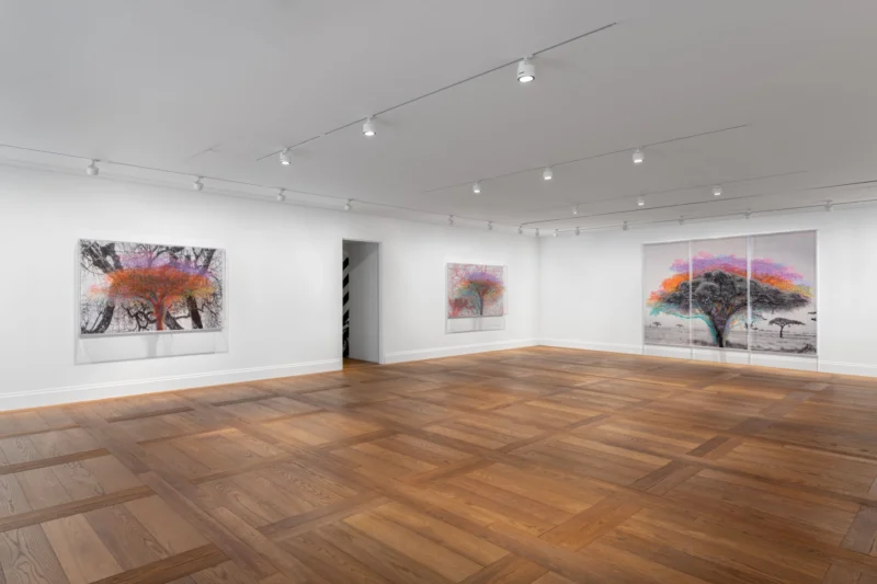 Installation shot from Charles Gaines. Ciphering African Acacias and Supreme Court Decisions, @ Hauser & Wirth