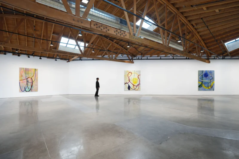 Installation shot from Zhang Enli, @ Hauser & Wirth