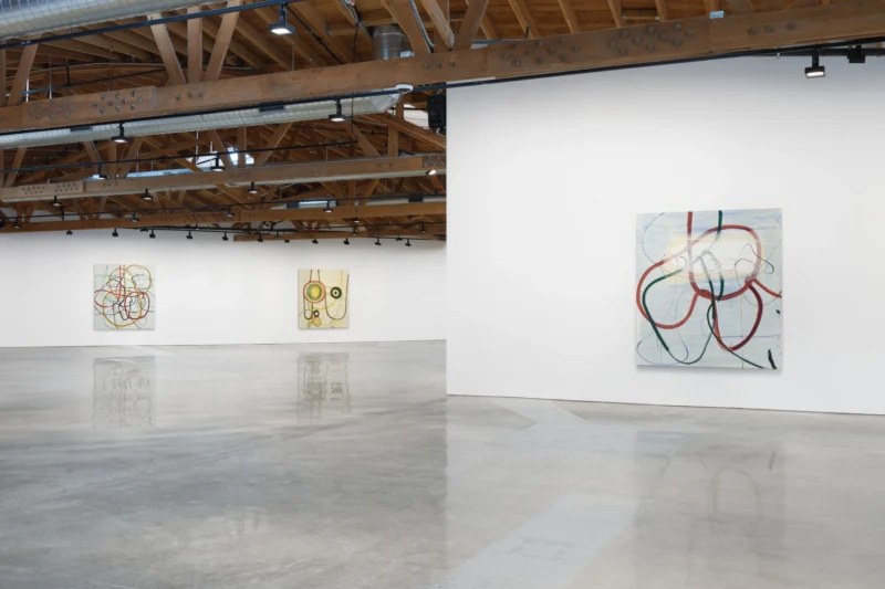 Installation shot from Zhang Enli, @ Hauser & Wirth