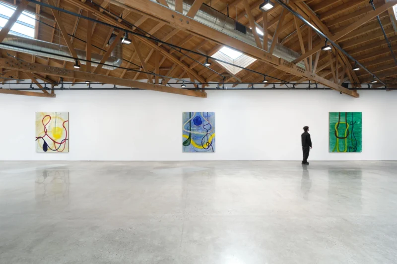 Installation shot from Zhang Enli, @ Hauser & Wirth