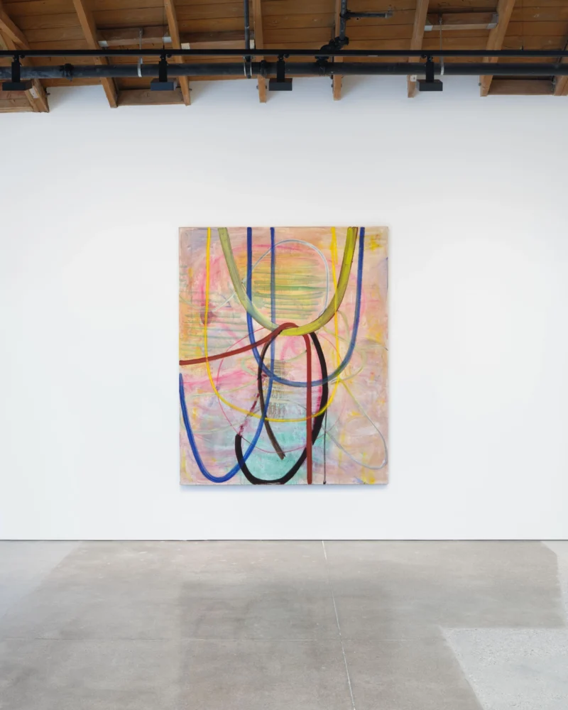 Installation shot from Zhang Enli, @ Hauser & Wirth