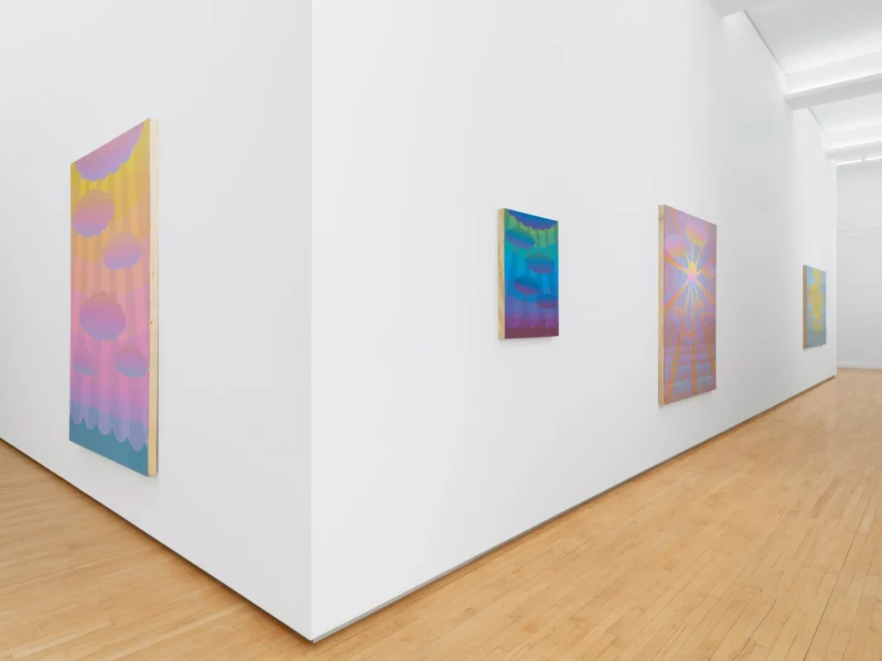 Installation shot from Modus Operandi, @ Jack Shainman Gallery