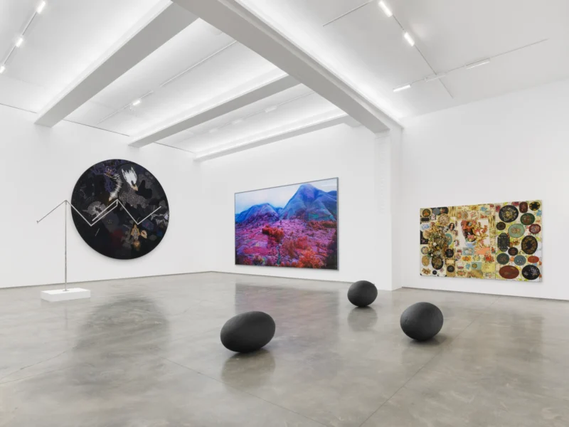 Installation shot from Modus Operandi, @ Jack Shainman Gallery