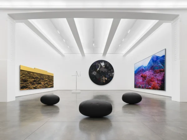 Modus Operandi @The School | Jack Shainman Gallery, Kinderhook - GalleriesNow.net