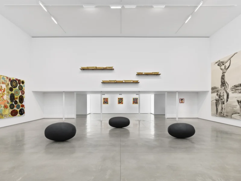 Installation shot from Modus Operandi, @ Jack Shainman Gallery