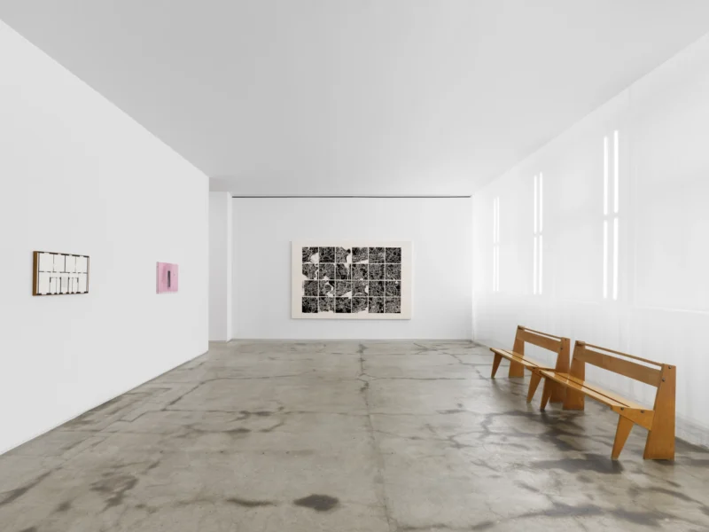 Installation shot from Modus Operandi, @ Jack Shainman Gallery