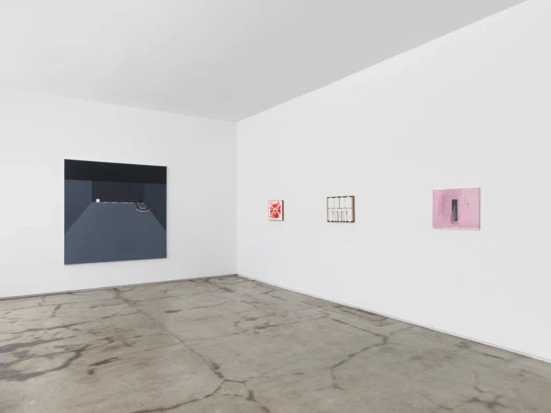 Installation shot from Modus Operandi, @ Jack Shainman Gallery