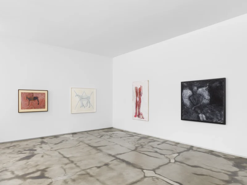Installation shot from Modus Operandi, @ Jack Shainman Gallery