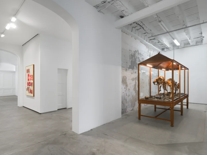 Installation shot from Modus Operandi, @ Jack Shainman Gallery