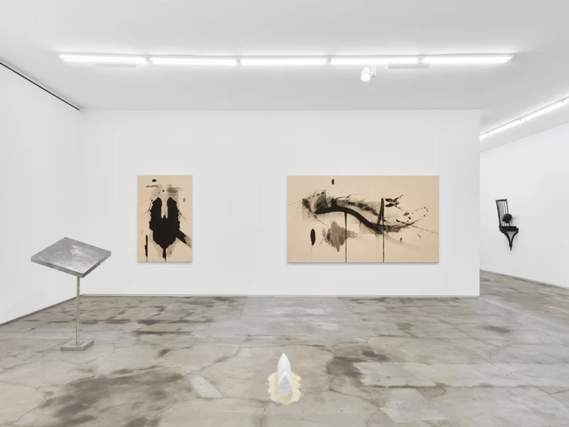 Installation shot from Modus Operandi, @ Jack Shainman Gallery
