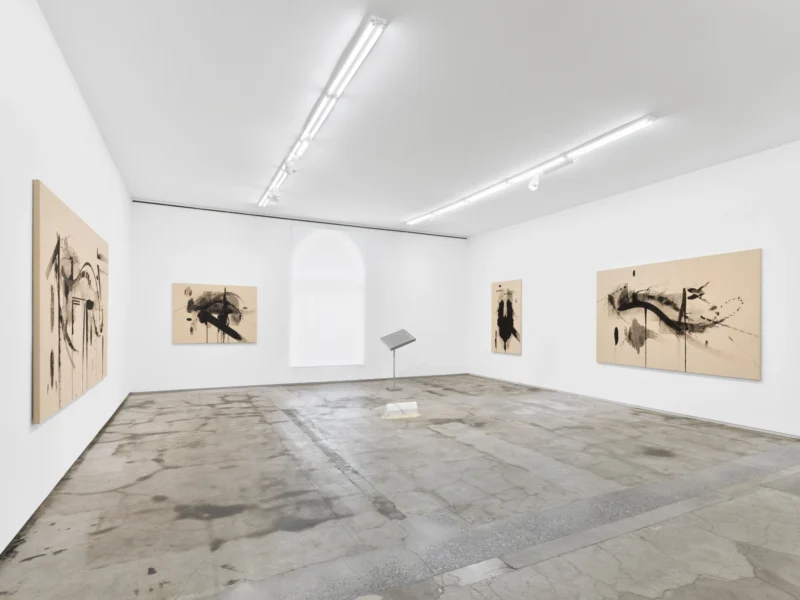 Installation shot from Modus Operandi, @ Jack Shainman Gallery