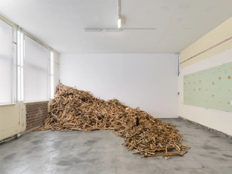 Installation shot from Modus Operandi, @ Jack Shainman Gallery