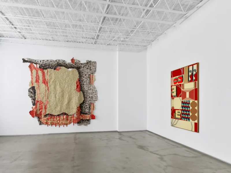Installation shot from Modus Operandi, @ Jack Shainman Gallery
