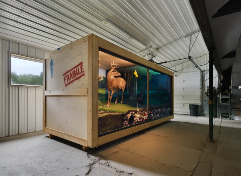 Installation shot from Modus Operandi, @ Jack Shainman Gallery