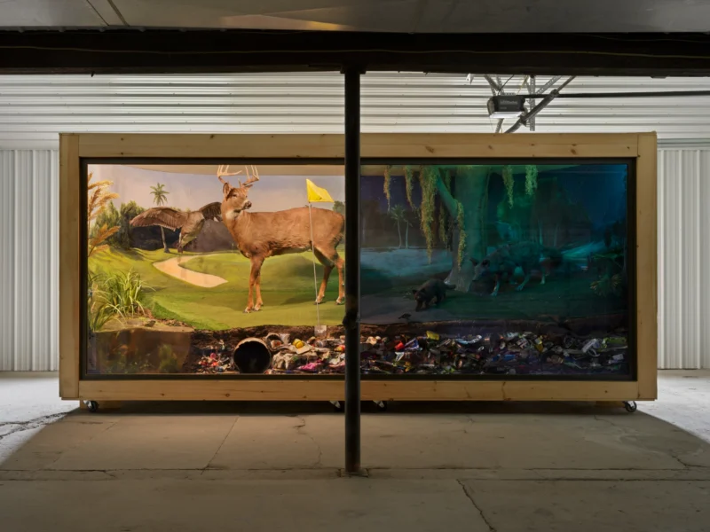 Installation shot from Modus Operandi, @ Jack Shainman Gallery