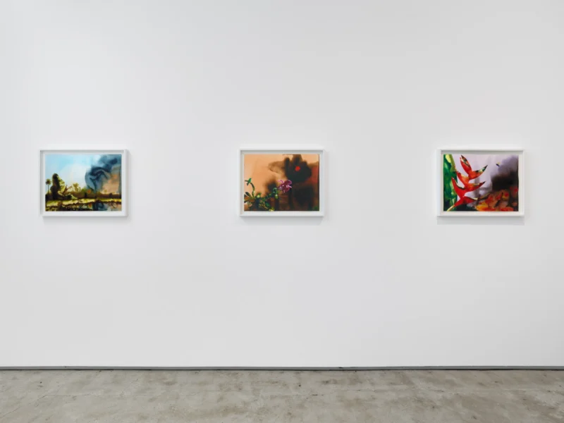 Installation shot from Modus Operandi, @ Jack Shainman Gallery