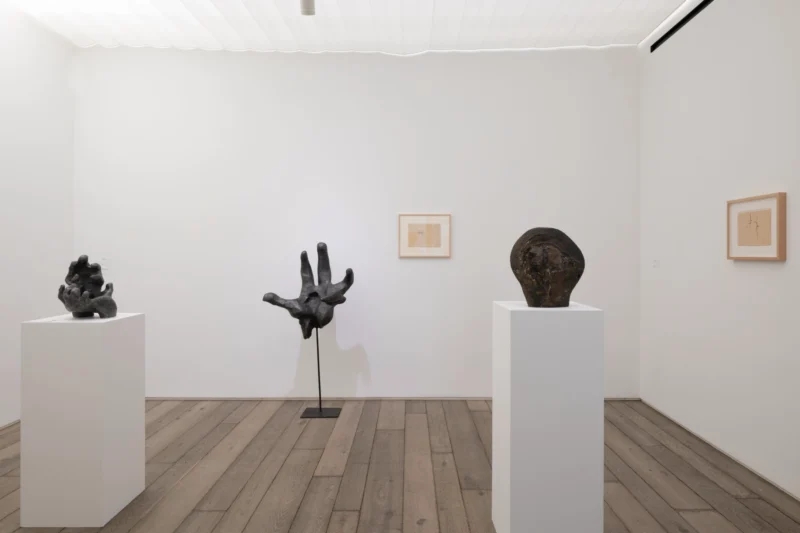 Installation shot from Alina Szapocznikow: Autobiography in Fragments. A Centenary Retrospective, @ Loevenbruck
