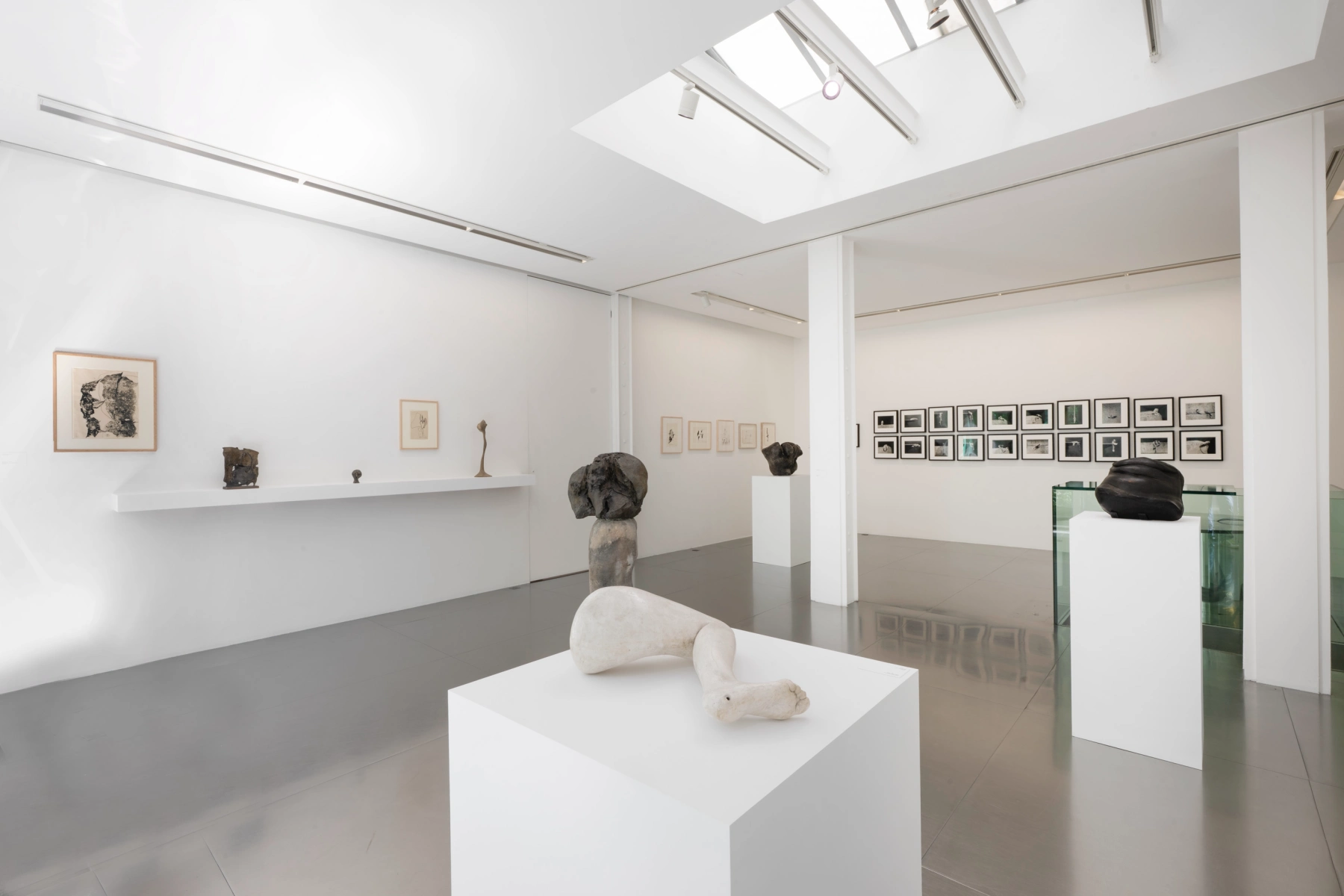 Image for Alina Szapocznikow: Autobiography in Fragments. A Centenary Retrospective, at Loevenbruck