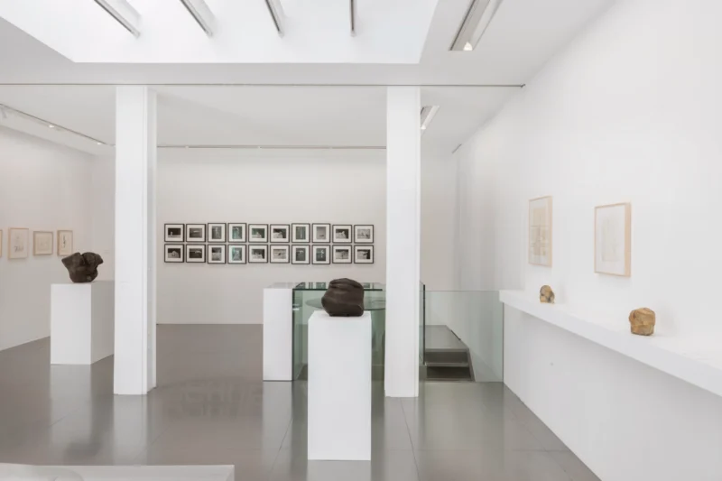 Installation shot from Alina Szapocznikow: Autobiography in Fragments. A Centenary Retrospective, @ Loevenbruck