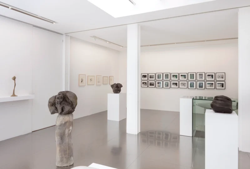 Installation shot from Alina Szapocznikow: Autobiography in Fragments. A Centenary Retrospective, @ Loevenbruck