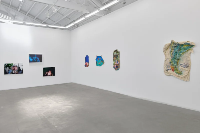 Installation shot from Body Memory, @ Luis De Jesus Los Angeles