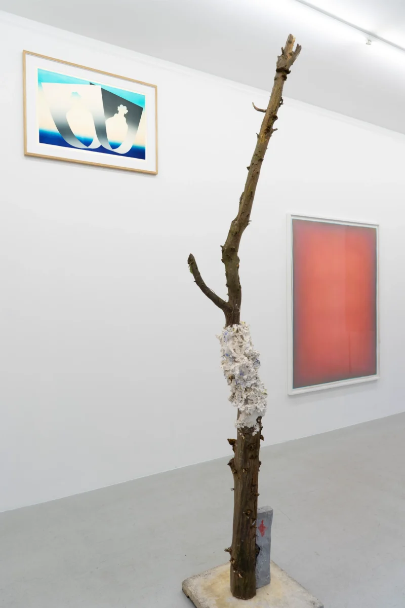 Installation shot from Fragments of Narration, @ Lullin + Ferrari