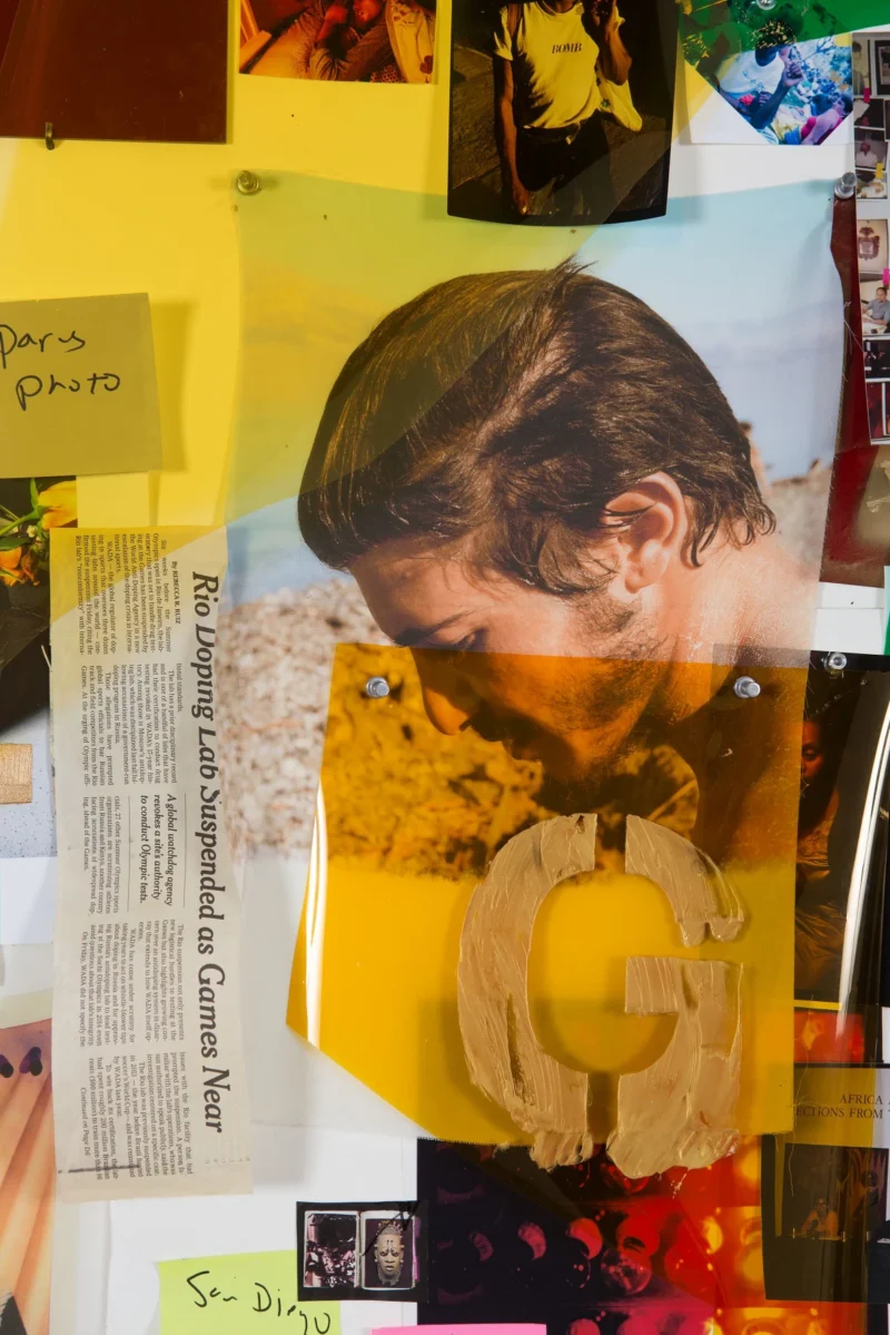 Lyle Ashton Harris, Obsessão II (detail), 2017