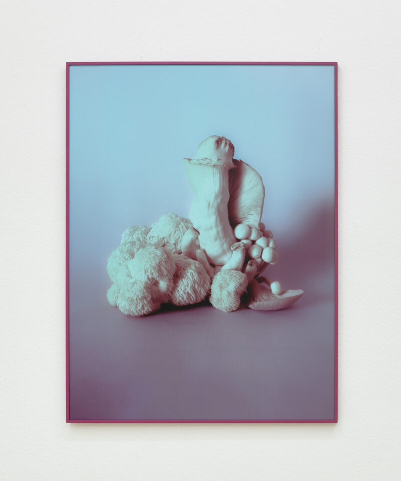 Mia Dudek, Fruiting Body XV, 2023