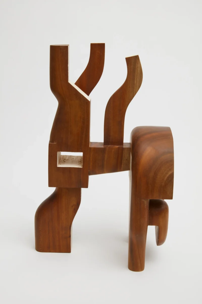 Magdiel García Almanza, Forma II, 2025