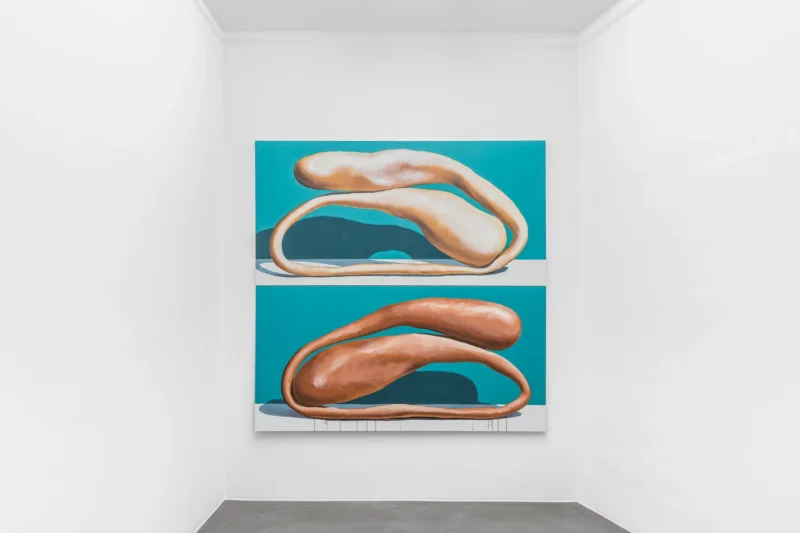 Installation shot from Michel Pérez Pollo: Double Gaze, @ Mai 36 Galerie