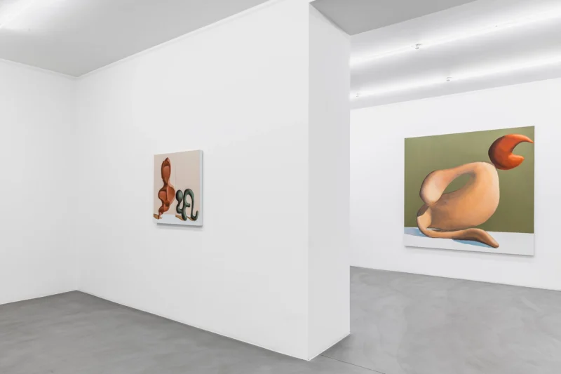 Installation shot from Michel Pérez Pollo: Double Gaze, @ Mai 36 Galerie