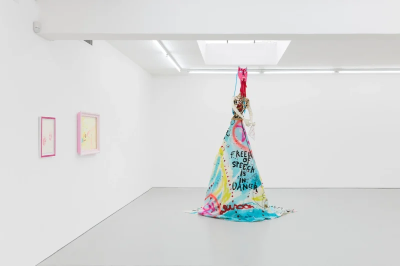 Installation shot from Delaine Le Bas: Leap, @ Maureen Paley