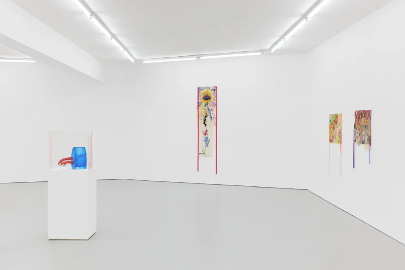 Installation shot from Delaine Le Bas: Leap, @ Maureen Paley