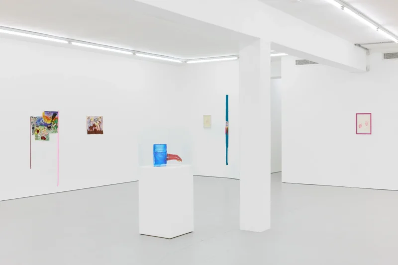 Installation shot from Delaine Le Bas: Leap, @ Maureen Paley