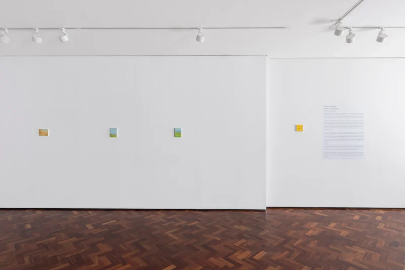 Installation shot from Eleanor Ekserdjian: We Are Our Mountains, @ Messums Org