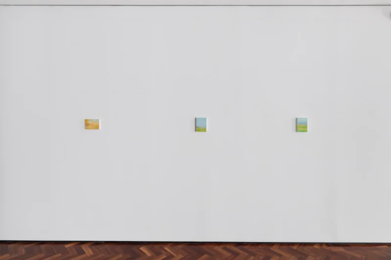 Installation shot from Eleanor Ekserdjian: We Are Our Mountains, @ Messums Org