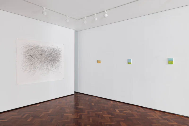 Installation shot from Eleanor Ekserdjian: We Are Our Mountains, @ Messums Org