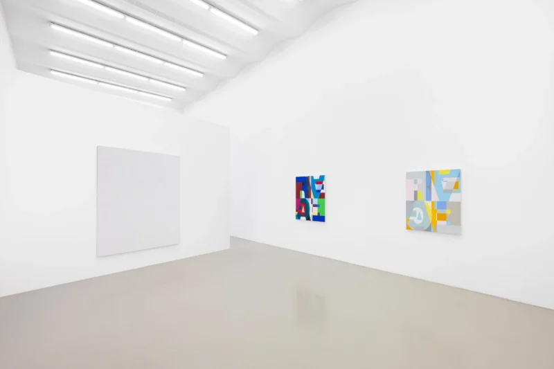 Installation shot from Heimo Zobernig: this not this, @ MEYER*KAINER