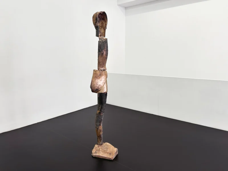 Installation shot from Heimo Zobernig: this not this, @ MEYER*KAINER